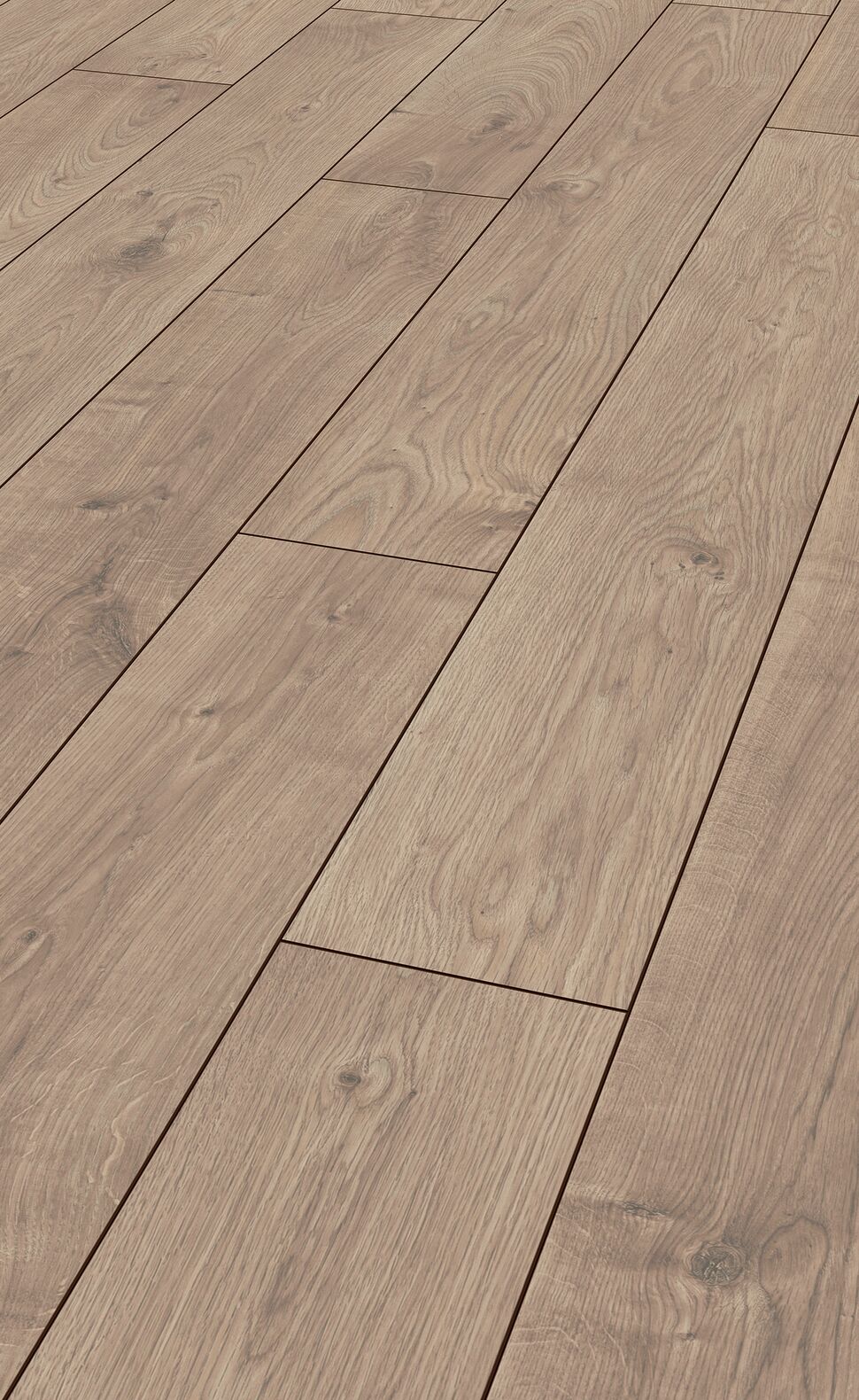 Laminate Atlas Oak Beige My Floor Laminate