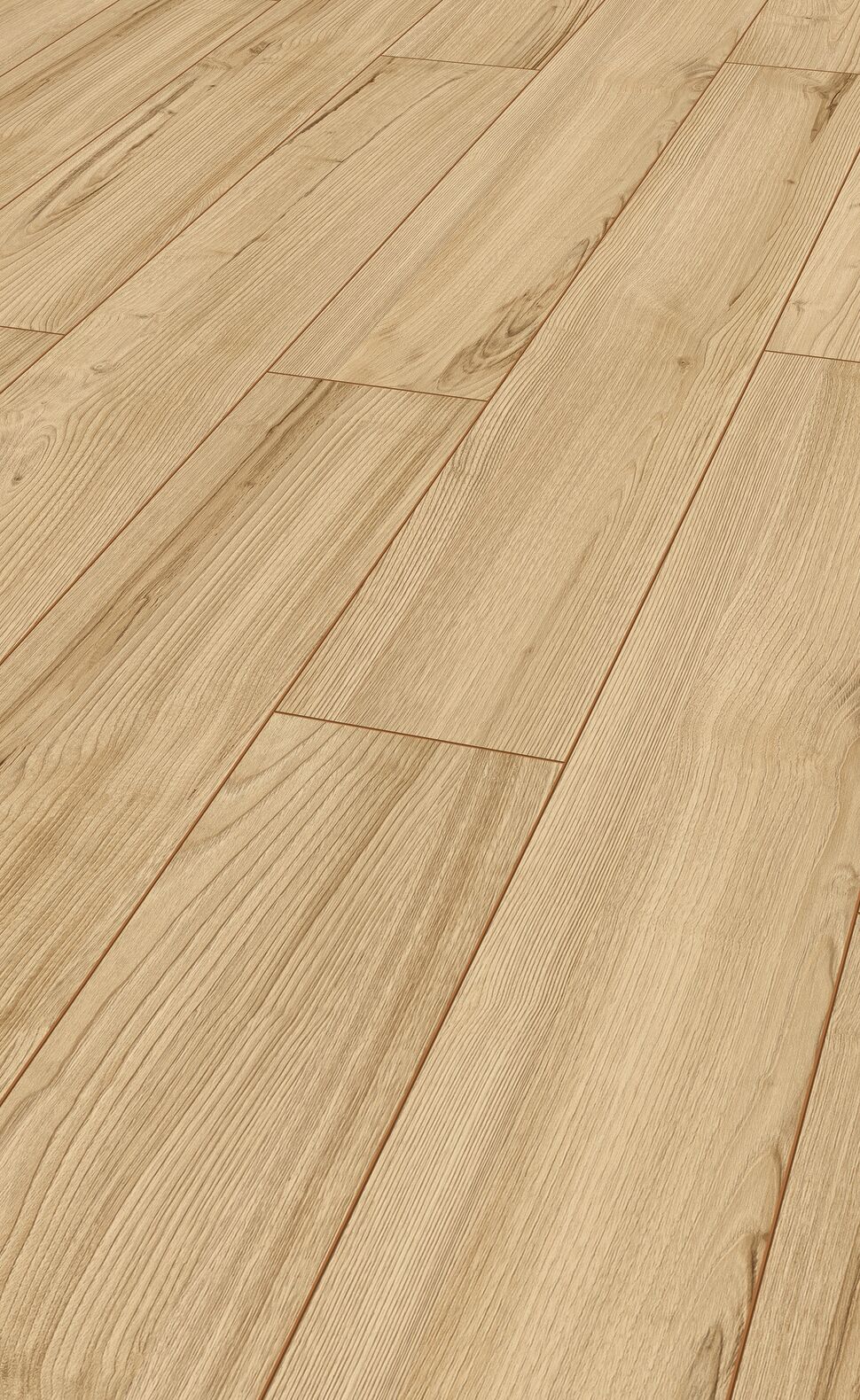 Virgin Chestnut