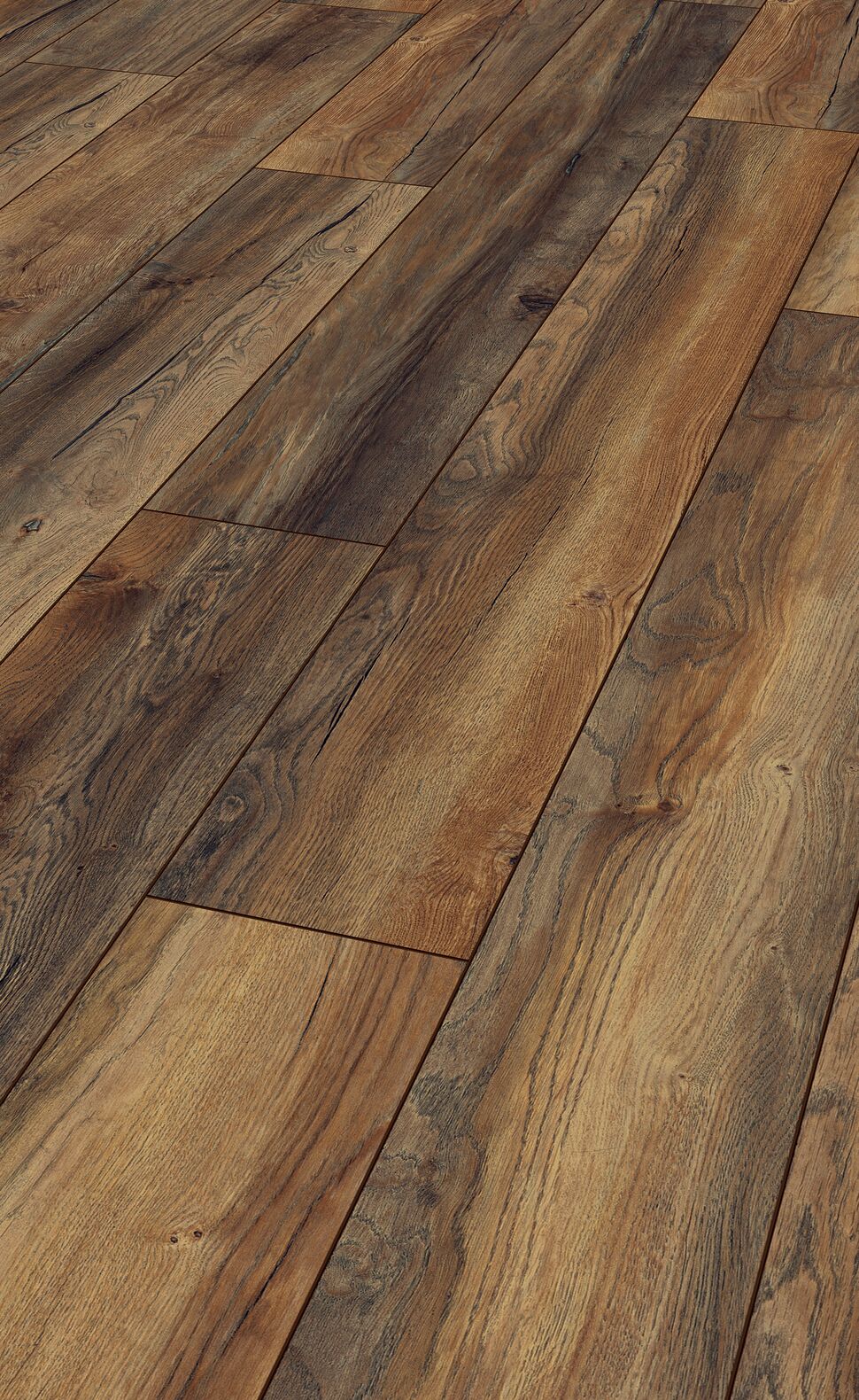Harbour Oak