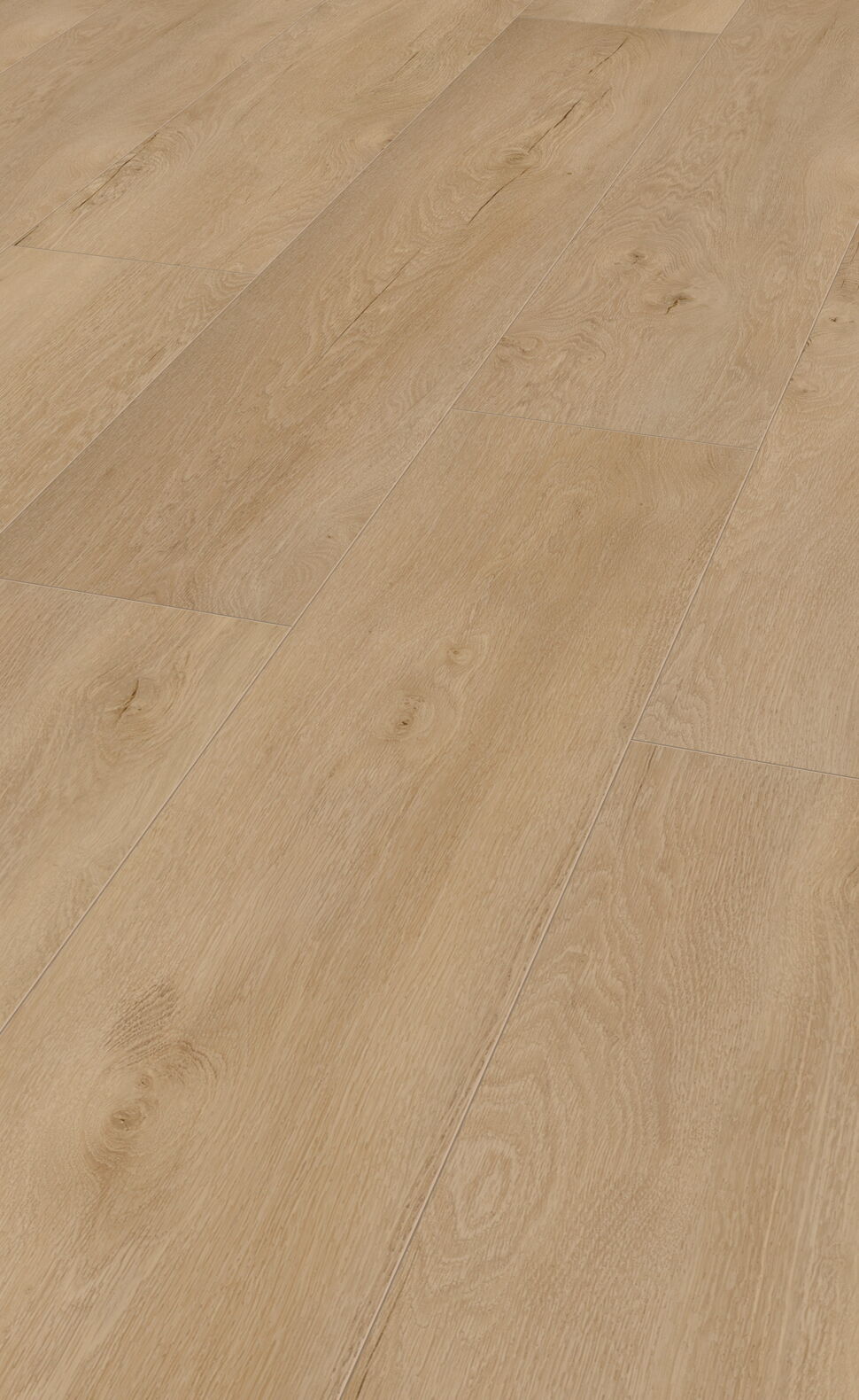 Sauerland Eiche Beige